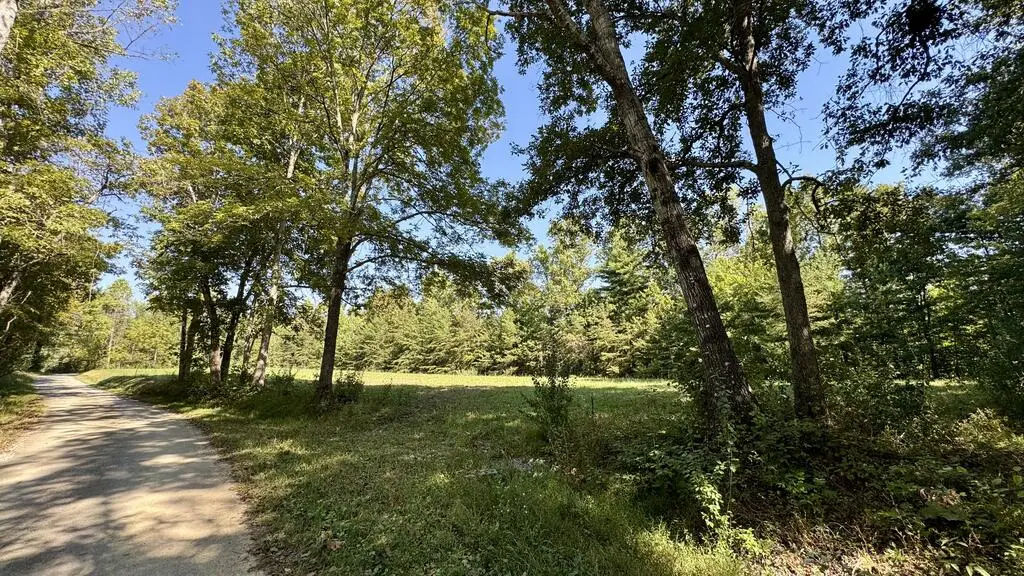 187 High Point Rd., Deer Lodge, TN 37726 - #1