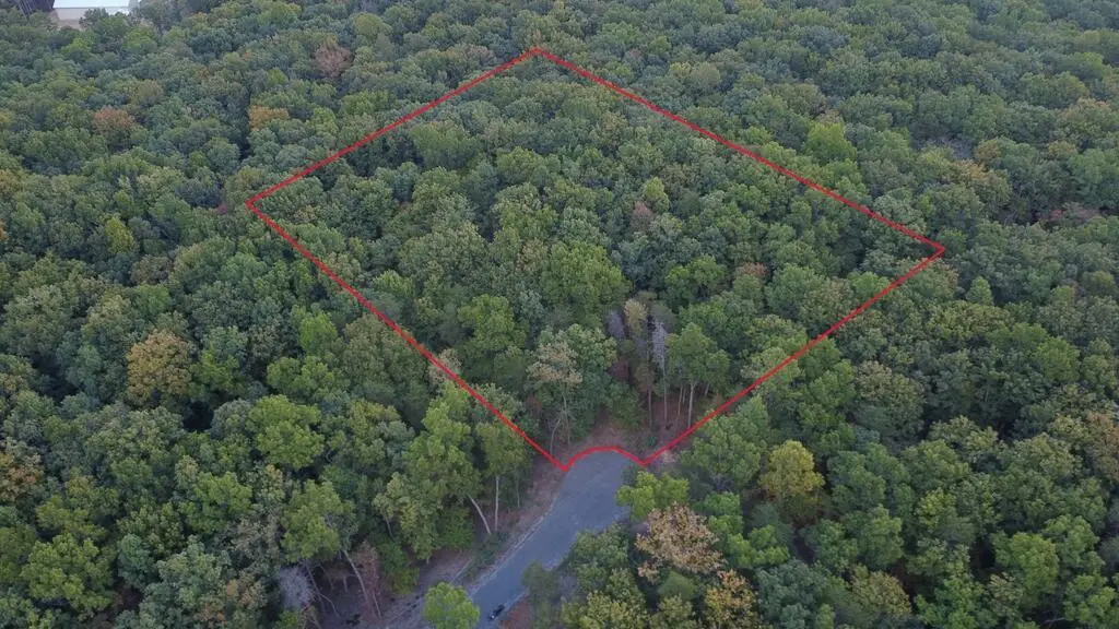 1591 Overlook Drive, Spencer, TN 38585 - #1