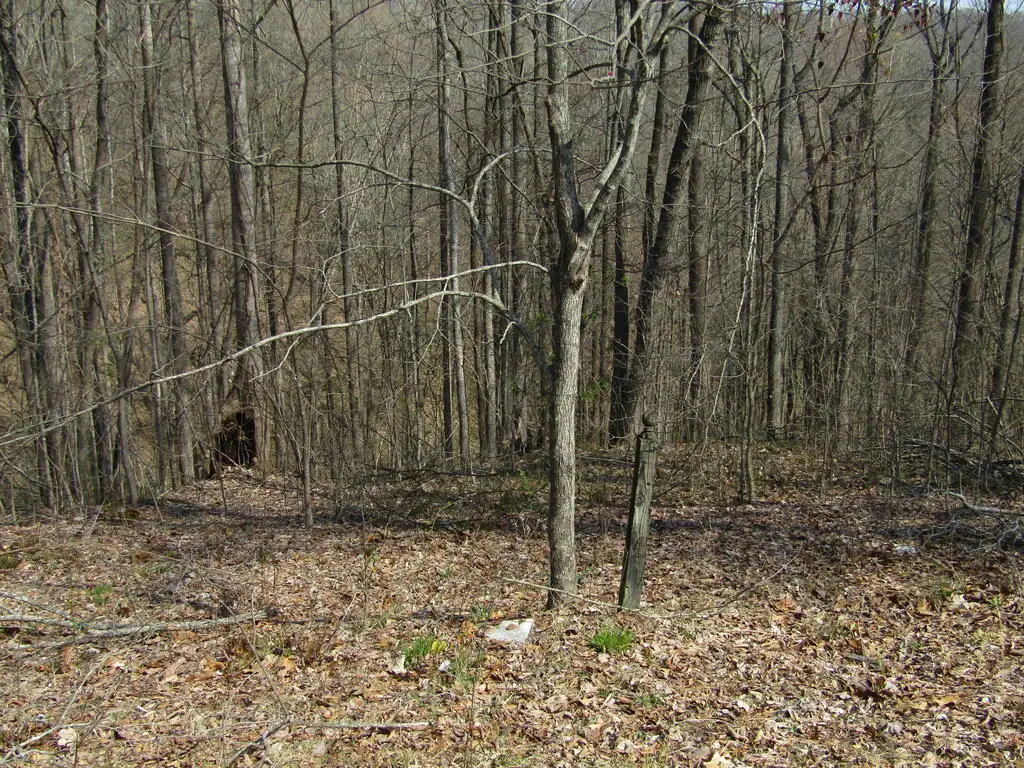 Lot 28 Hunters S Landing Lane, Smithville, TN 37166 - #1
