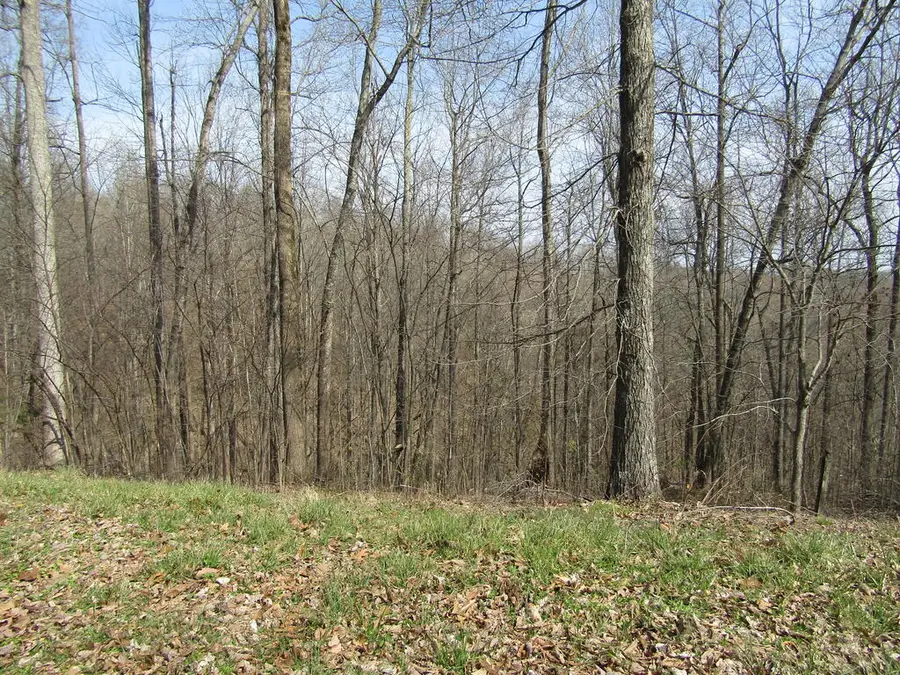 Lot 28 Hunters S Landing Lane, Smithville, TN 37166 - #2