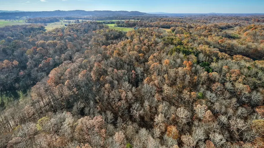 130 AC. Roberts Cemetery Road, Walling, TN 38587 - #3