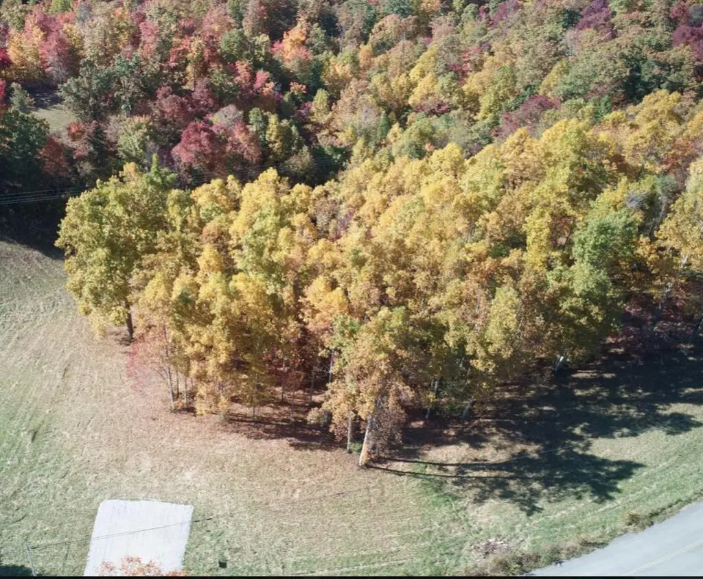 00 Double Top Rd., Jamestown, TN 38556 - #1