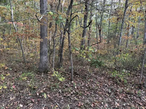 n/a Copley Cemetery Road, Jamestown, TN 38556