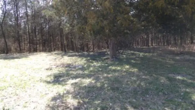 1586 Needmore Road, Old Hickory, TN 37138 - #3