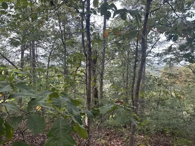 Lot 155 Mountain View Lane, Wilder, TN 38589 - #2