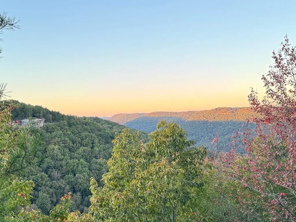 0 Panther Falls Rd., Wilder, TN 38589 - #1