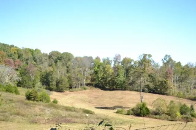10ac Bob Dennings Rd, Allons, TN 38541 - #2