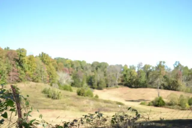 10ac Bob Dennings Rd, Allons, TN 38541 - #3