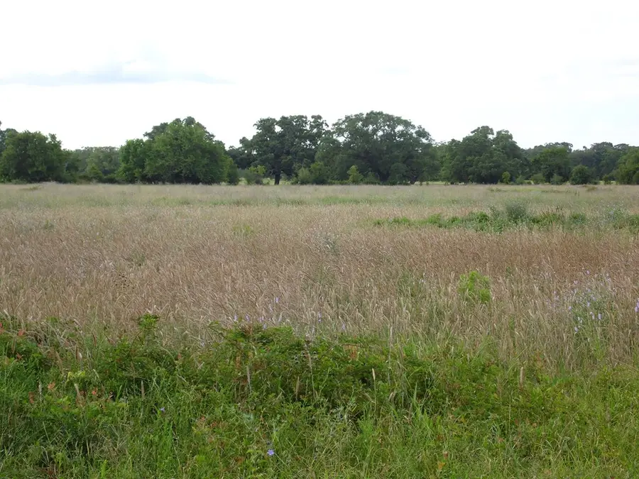 FM 457 FM 457 Sargent HWY, Cedar Lane, TX 77415 - #2