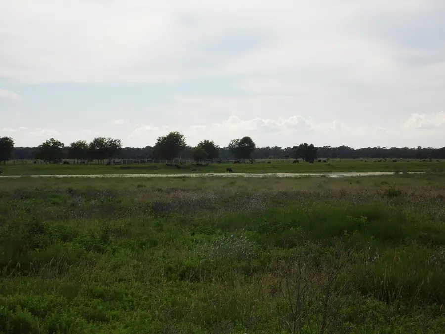 FM 457 457 Sargent HWY, Cedar Lane, TX 77415 - #3