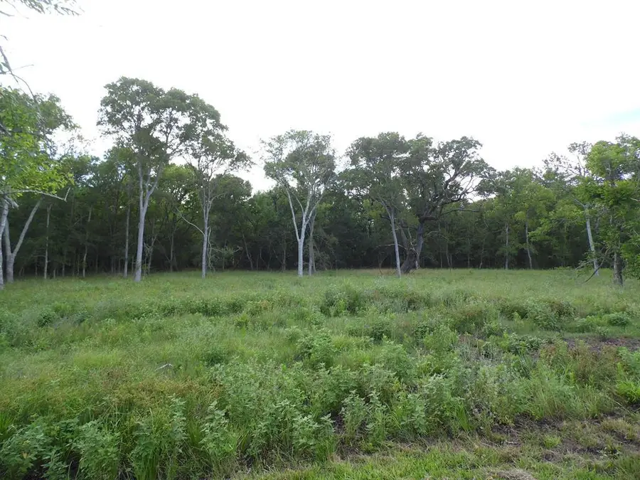 FM 457 457 Sargent HWY, Cedar Lane, TX 77415 - #2