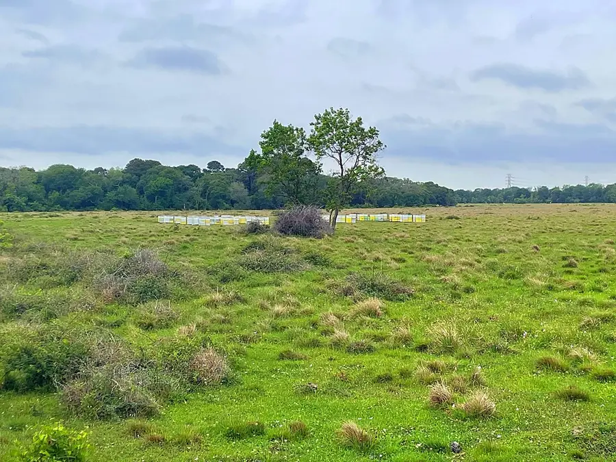 0000 FM 2917, Alvin, TX 77511 - #2