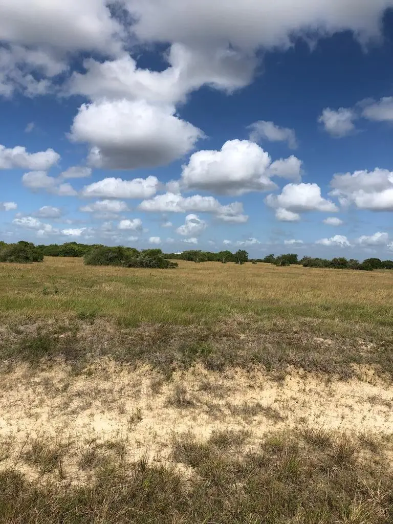 Lot 62 Falcon Way, Palacios, TX 77465 - #2