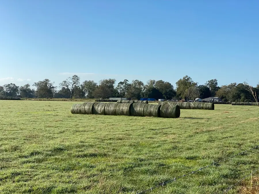 18 acres 18 acres Cedar Lane Bowie Rd, Cedar Lane, TX 77415 - #2