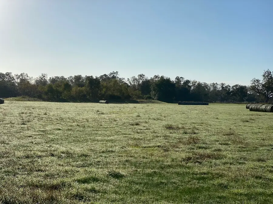 18 acres 18 acres Cedar Lane Bowie Rd, Cedar Lane, TX 77415 - #3