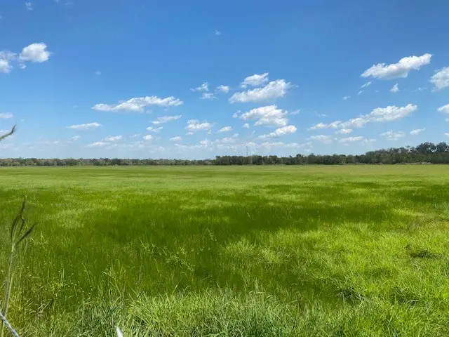 16 Acre Cedar Lane CR 154, Cedar Lane, TX 77414 - #2