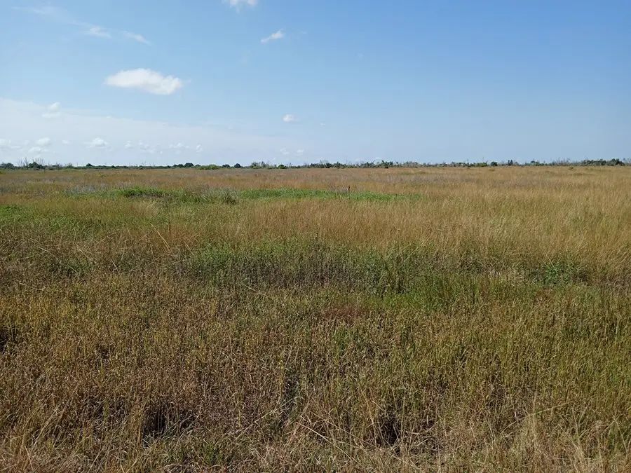 Address Withheld By Seller, Blessing, TX 77419 - Image #3