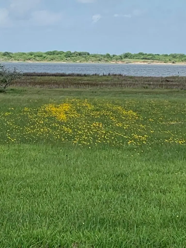 1140 West Bayshore Dr., Palacios, TX 77465 - #2