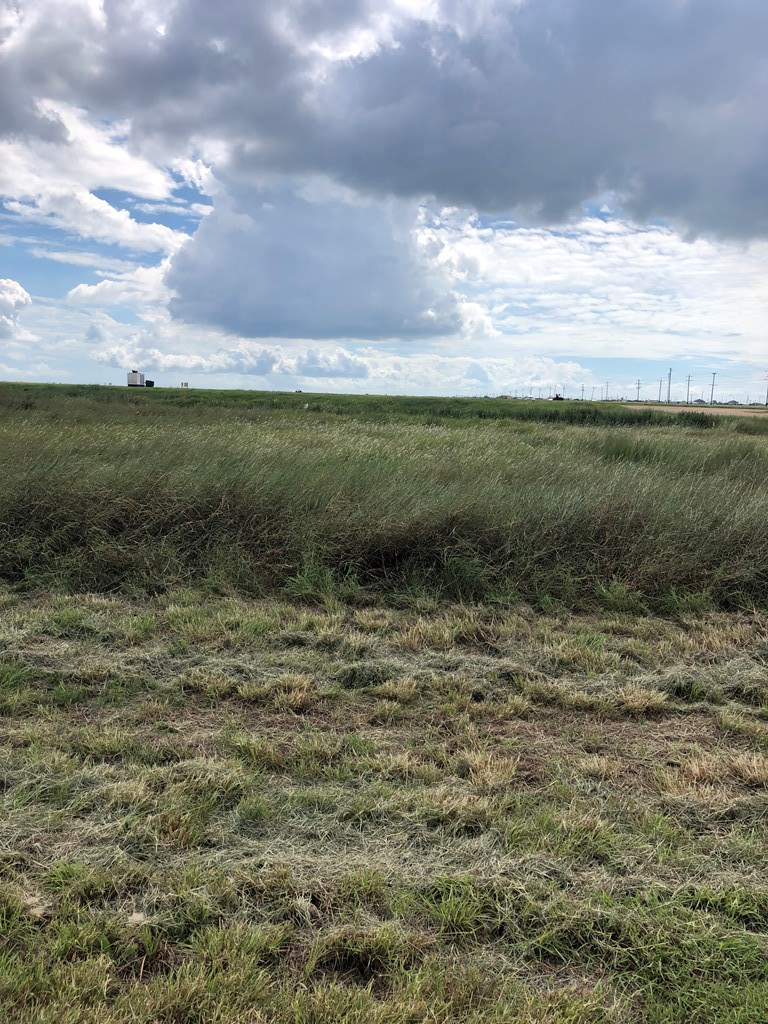 Lot 166 Coral Lane, Palacios, TX 77465 - #2