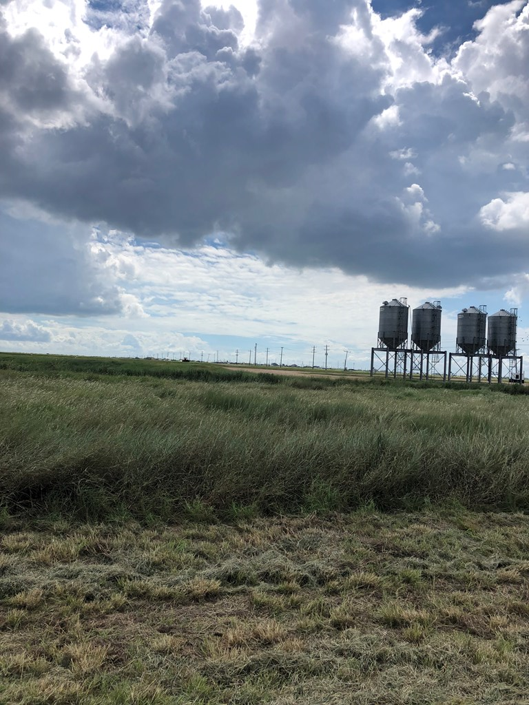 Lot 166 Coral Lane, Palacios, TX 77465 - #3