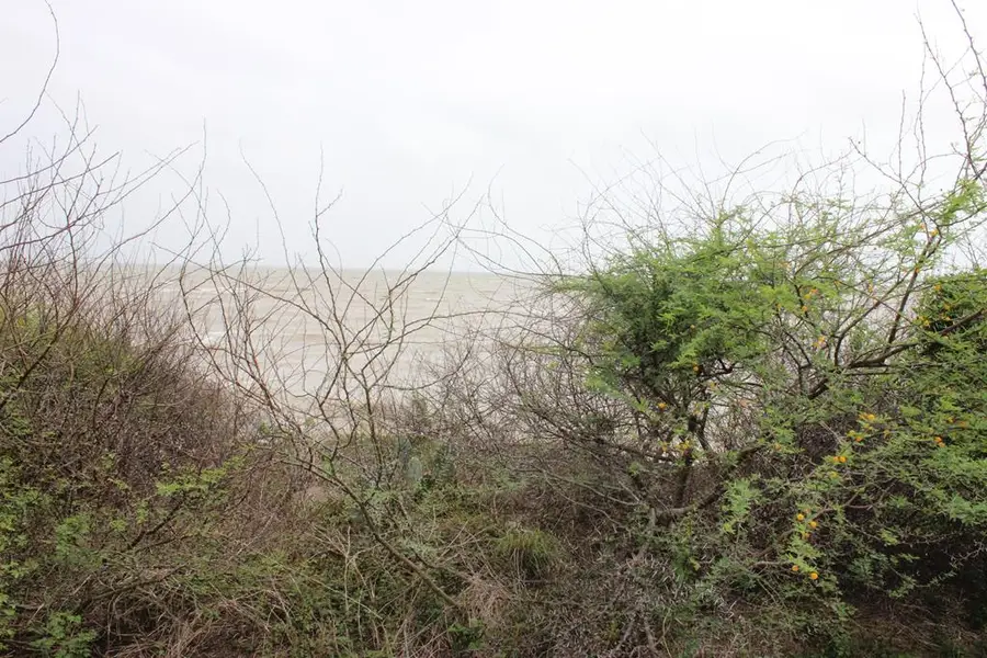 3329 Bay Point Dr, Palacios, TX 77465 - #3