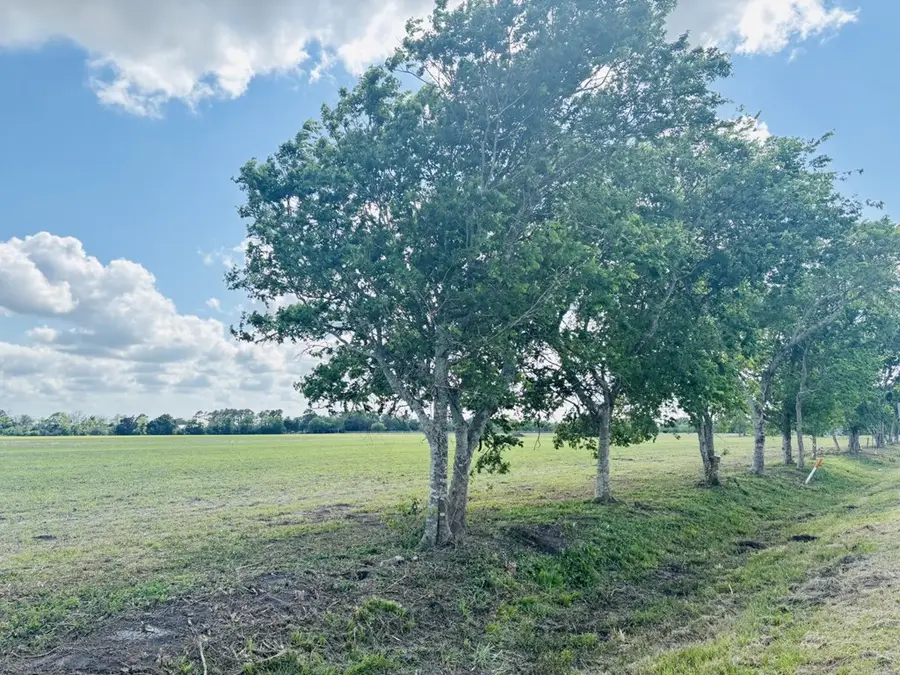 Tract 2 CR 208, Bay City, TX 77414 - #3