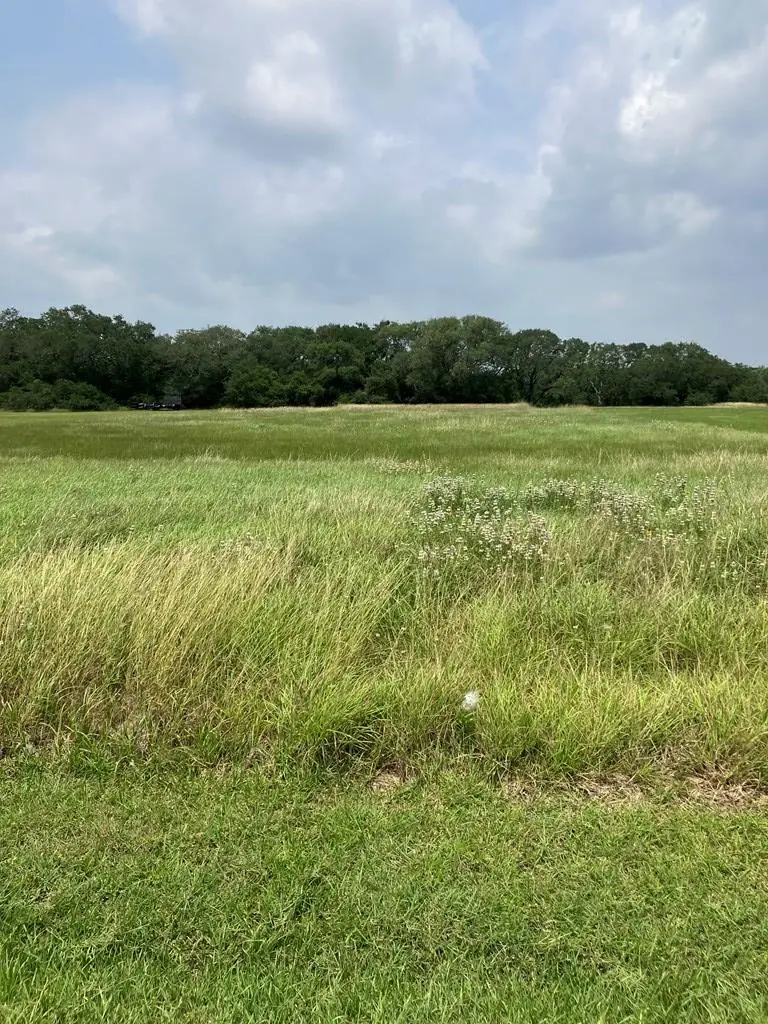 4 River Hollow Way, Blessing, TX 77419 - Image #2