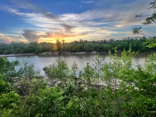 481 Acre Bay City Fm 2668, Bay City, TX 77414 - #1