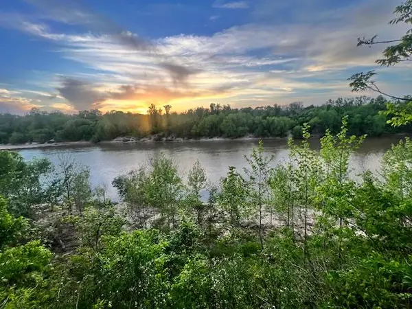 481 Acre Bay City Fm 2668, Bay City, TX 77414