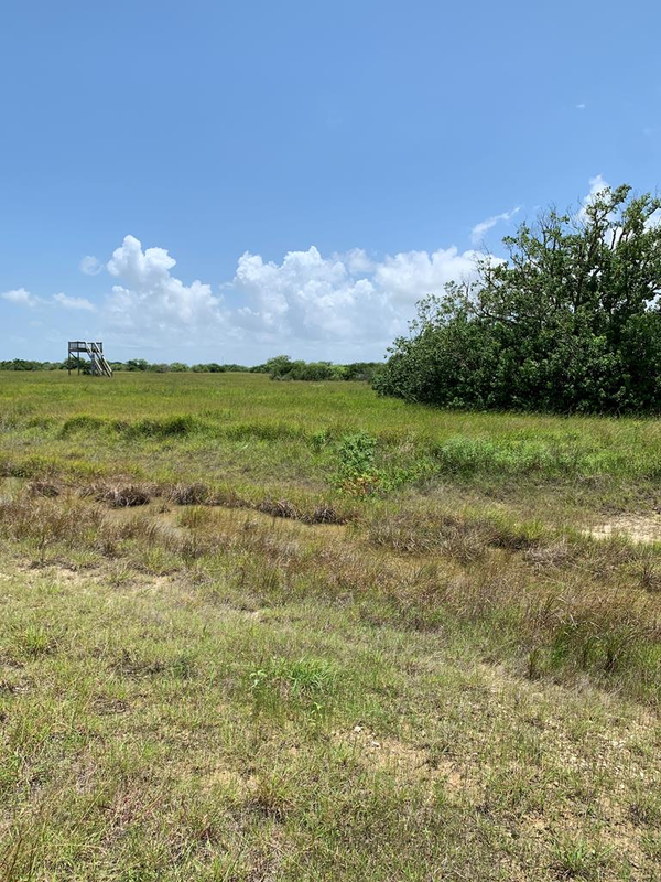 Lot 64 Falcon Way, Palacios, TX 77465