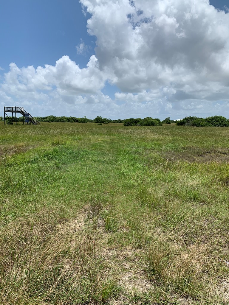 Lot 64 Falcon Way, Palacios, TX 77465 - #2