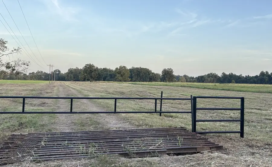 0 Old Van Vleck Road, Tract 2, Van Vleck, TX 77482 - #3