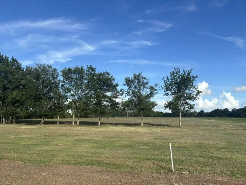 0 Old Van Vleck Road, Tract 1, Van Vleck, TX 77482 - #2