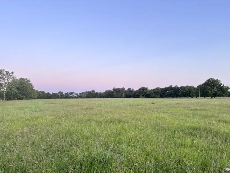 0 Old Van Vleck Road, Tract 1, Van Vleck, TX 77482 - #3