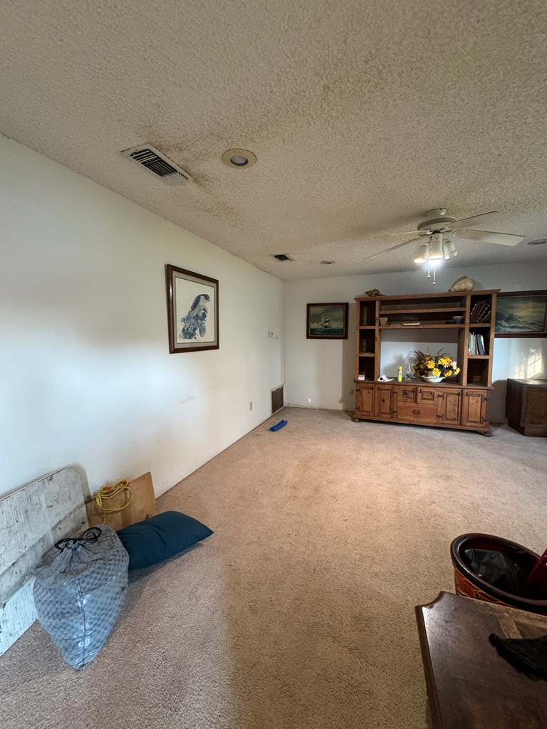 212 Elizabeth, Palacios, TX 77465 - #3