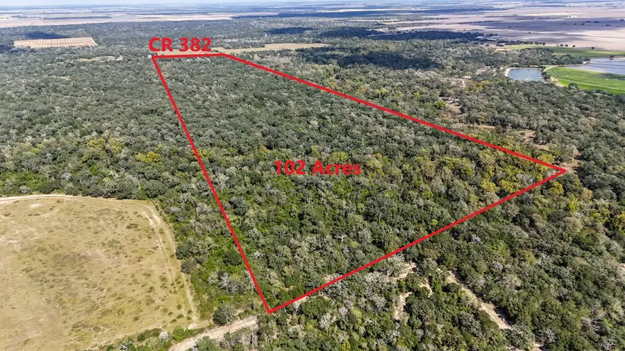 4491 County Road 382, Louise, TX 77455 - #2