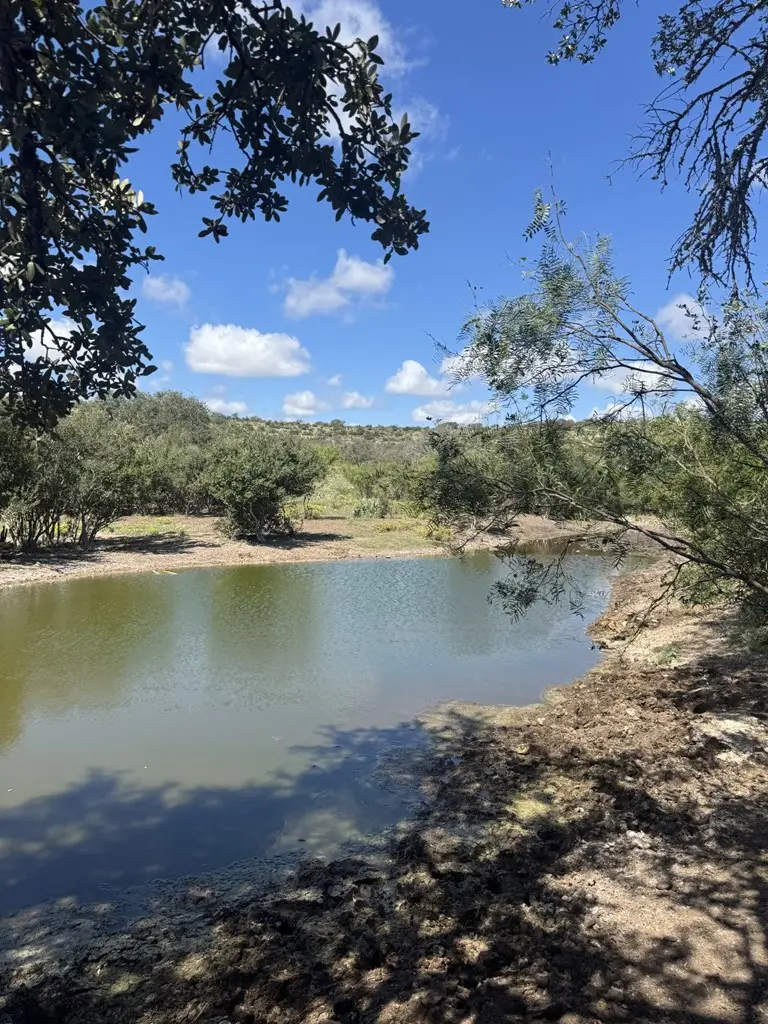 Lot 32 Private Road, Rocksprings North, TX 78880 - #2