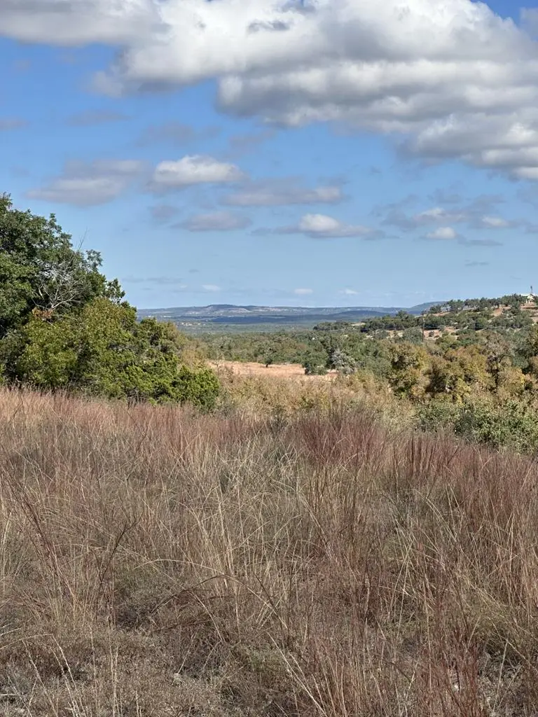 585 Outlook Drive, Woodcreek, TX 78676 - #1