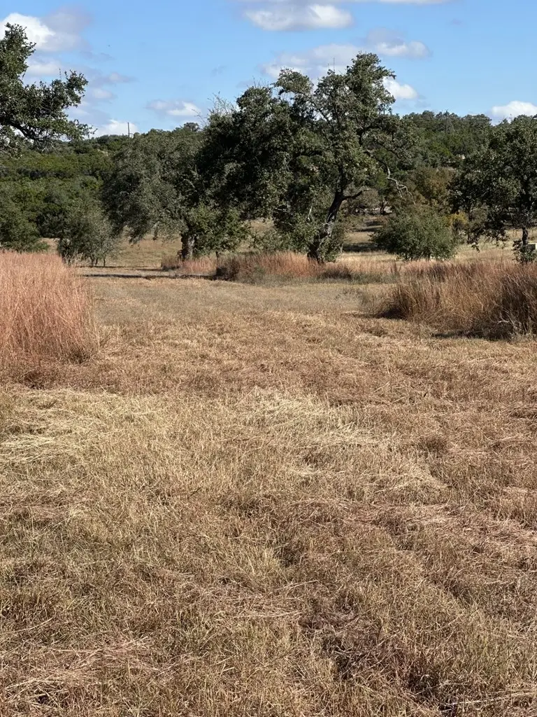 585 Outlook Drive, Woodcreek, TX 78676 - #2