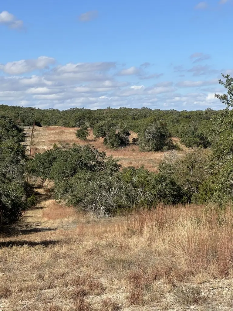 585 Outlook Drive, Woodcreek, TX 78676 - #3