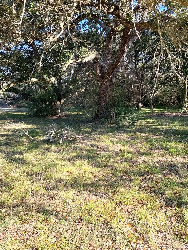 Lot 448 Old River Road, Palacios, TX 77465 - #2