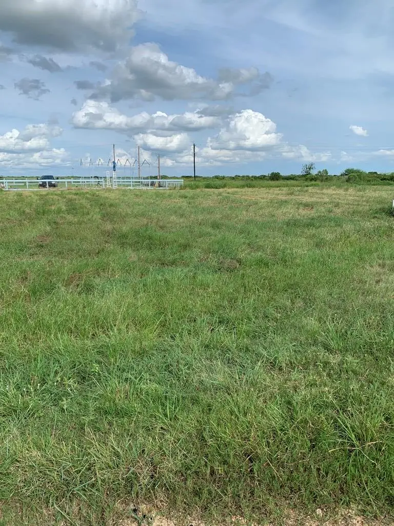 Lot 166 Kingfish, Palacios, TX 77465 - #1