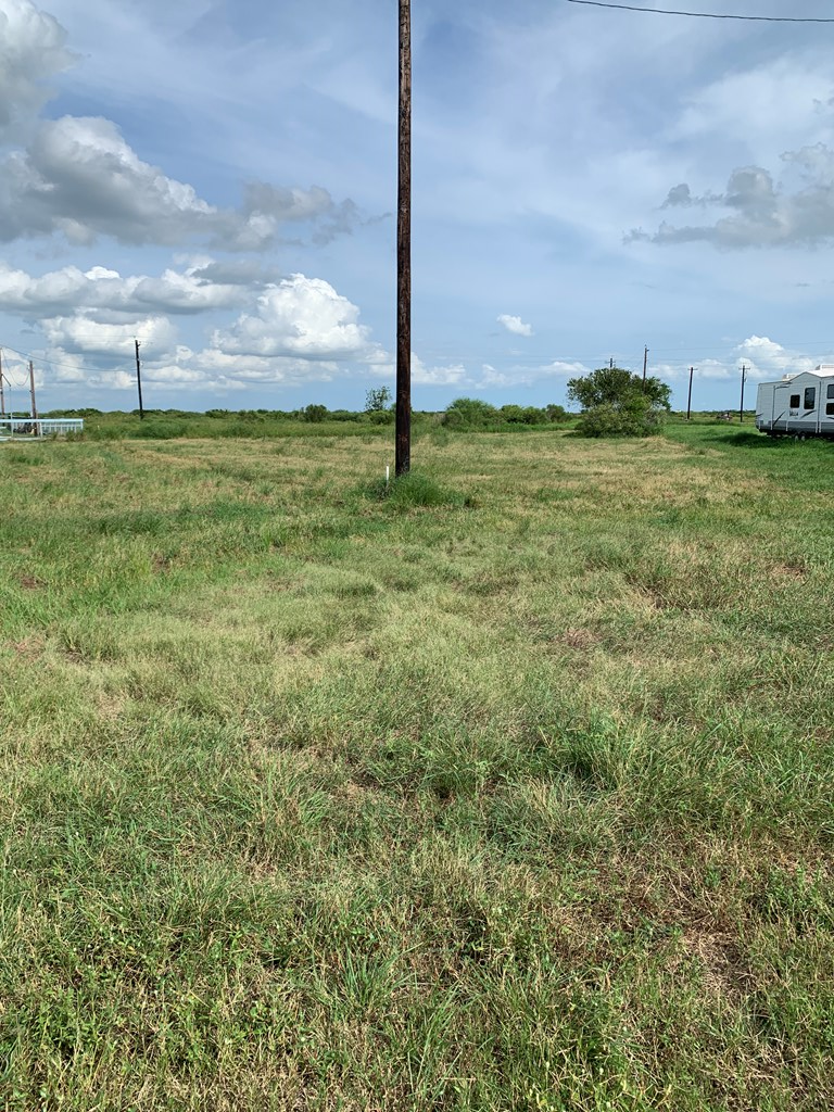Lot 166 Kingfish, Palacios, TX 77465 - #3