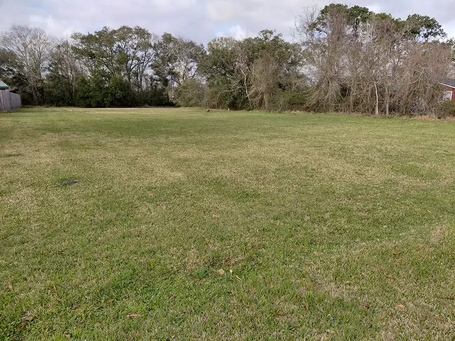 000 HOELEWYN ST., Angleton, TX 77515 - #3