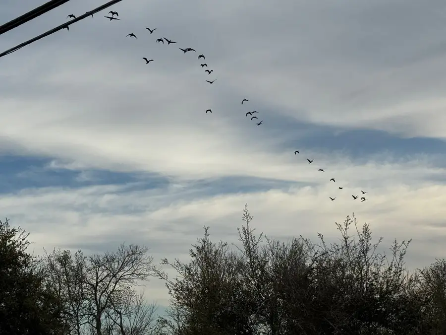 0 CR 46, Danbury, TX 77534 - #2