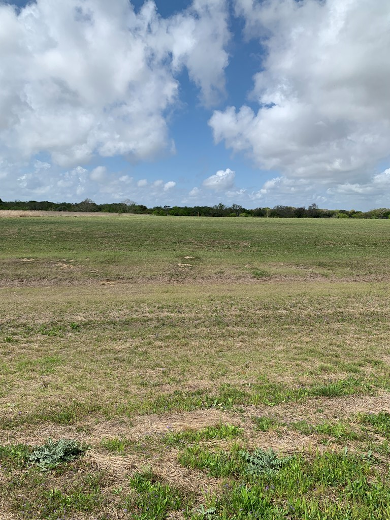 Lot 79 Cape Shores Drive, Palacios, TX 77465 - #3