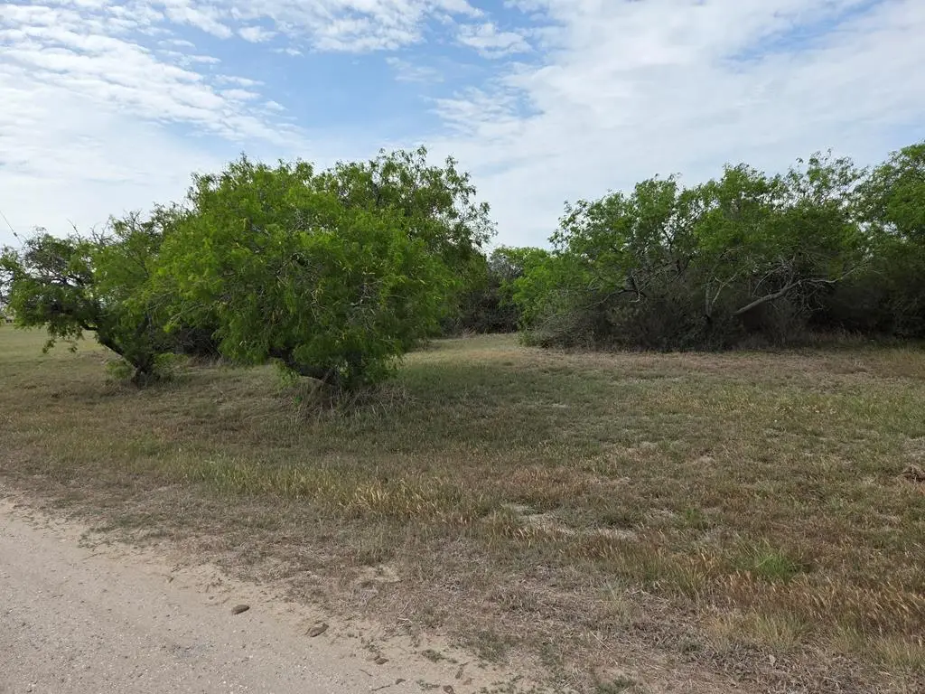 LOT 169 LOT 169 Tarpon DR, Palacios, TX 77465 - #1