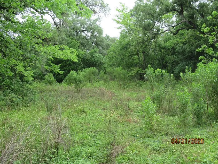 8705 S F Austin Rd, Jones Creek, TX 77541 - #2