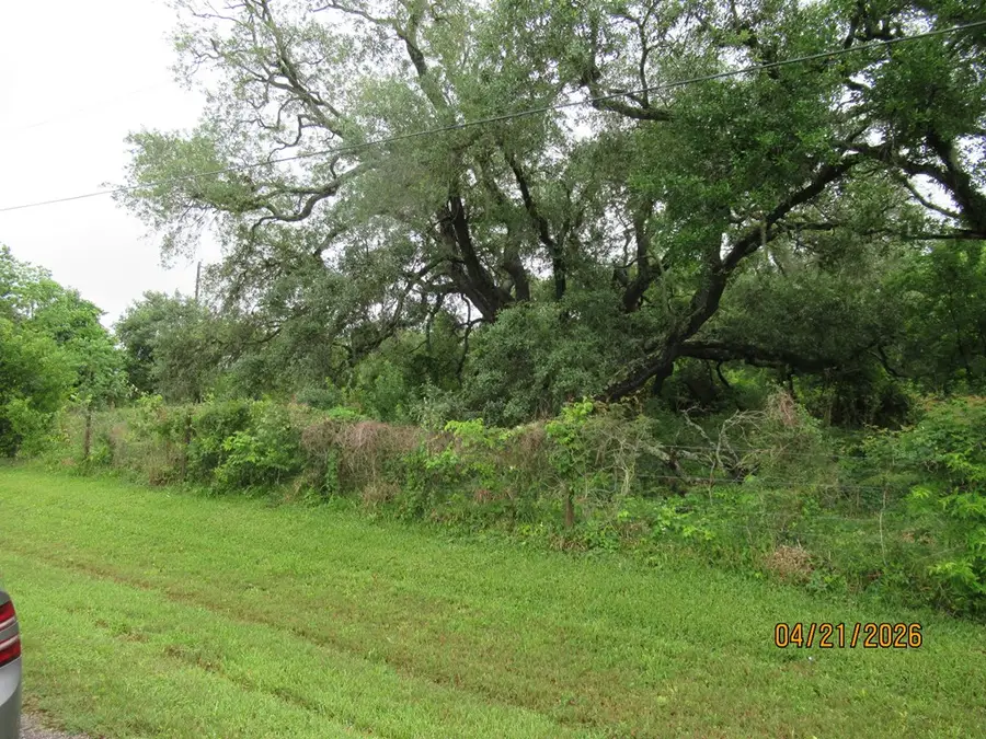 8705 S F Austin Rd, Jones Creek, TX 77541 - #3