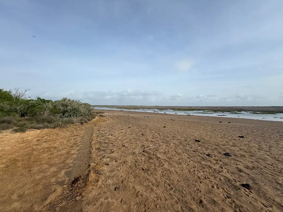 cr 259 CR 259 GULF RD   MATAGORDA, TX 77457, Matagorda, TX 77457 - #2